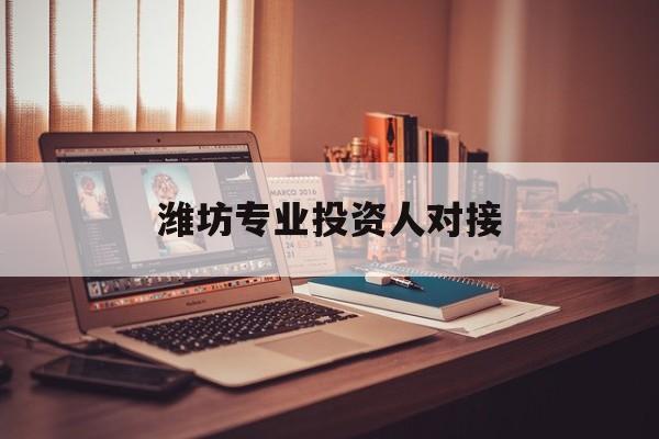 松原市潍坊专业投资人对接(潍坊专业投资人对接中心)