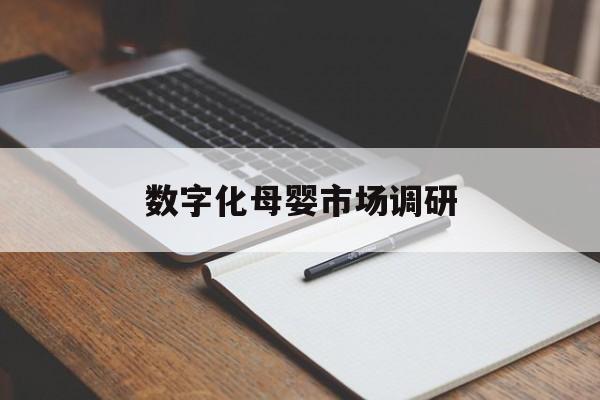 松原市数字化母婴市场调研(数字化母婴市场调研报告)